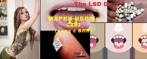 тгк Армянск