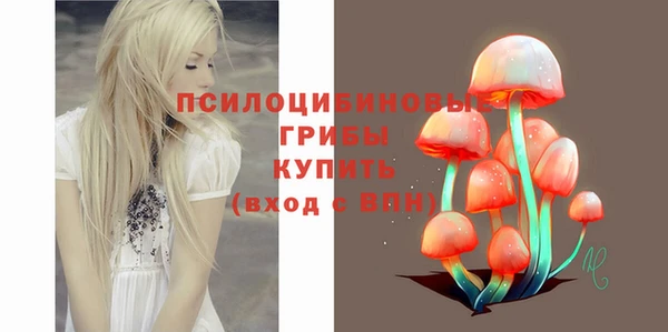 спайс Арсеньев