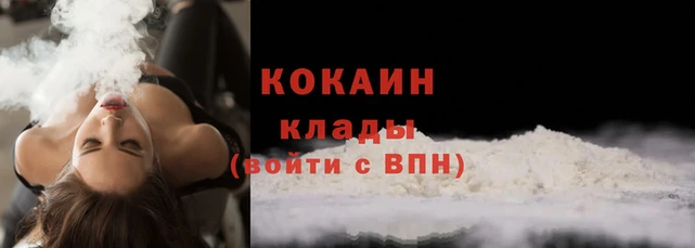 PSILOCYBIN Аркадак