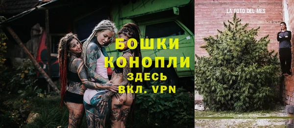 PSILOCYBIN Аркадак