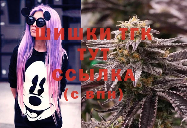 тгк Армянск