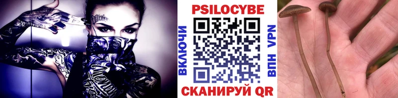 Псилоцибиновые грибы ЛСД  mega ссылка  Калининск 